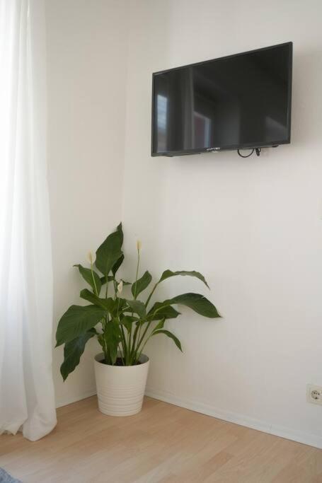 Altstadtwohnung Apartment